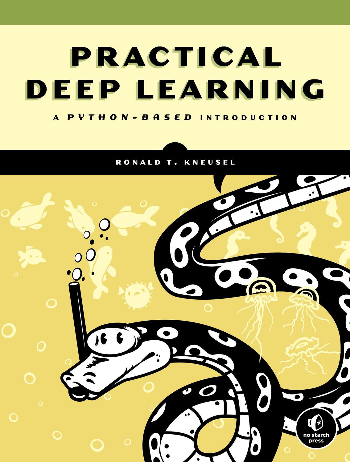 Cover: 9781718500747 | Practical Deep Learning | A Python-Based Introduction | Kneusel | Buch