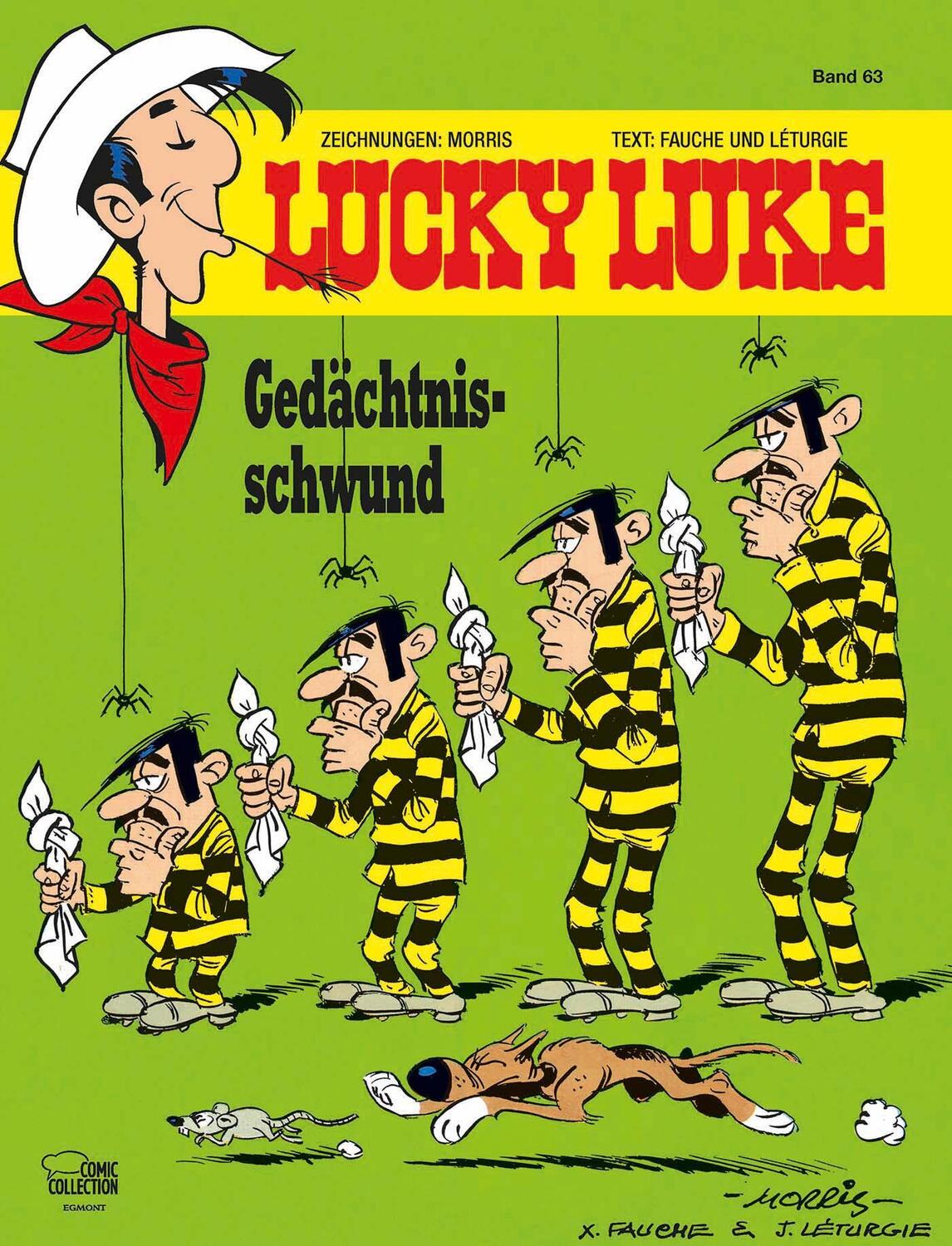 Cover: 9783770438174 | Lucky Luke 63 - Gedächtnisschwund | Xavier Fauche (u. a.) | Buch