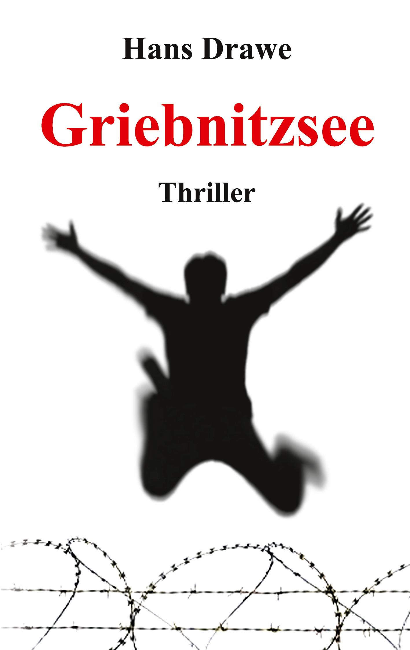 Cover: 9783743916098 | Griebnitzsee | Thriller | Hans Drawe | Taschenbuch | 200 S. | Deutsch