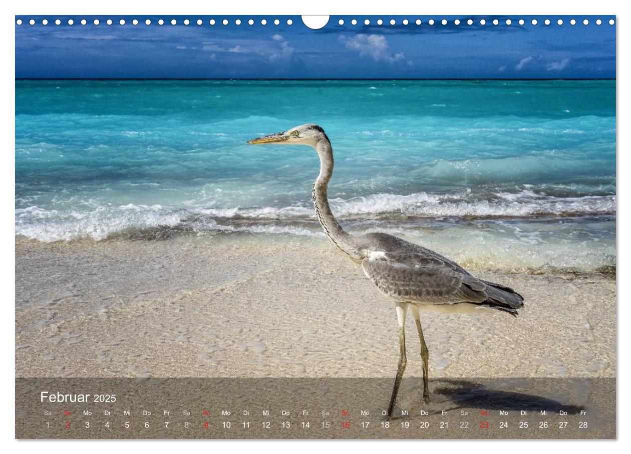 Bild: 9783435619733 | Malediven Impressionen aus dem Paradies (Wandkalender 2025 DIN A3...