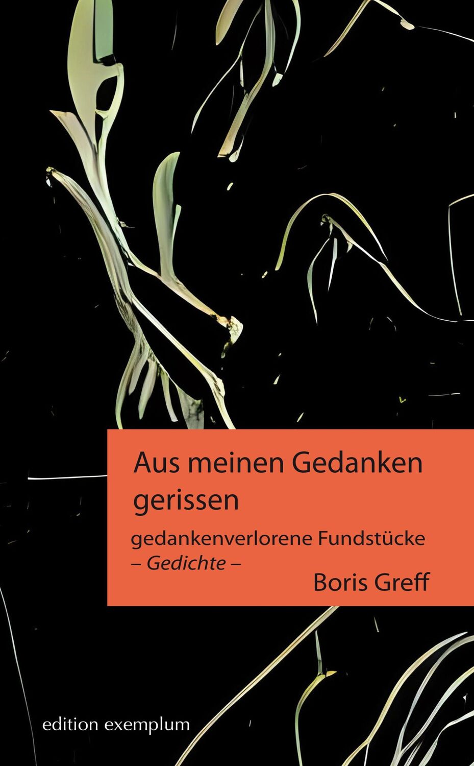 Cover: 9783745511468 | Aus meinen Gedanken gerissen | gedankenverlorene Fundstücke - Gedichte