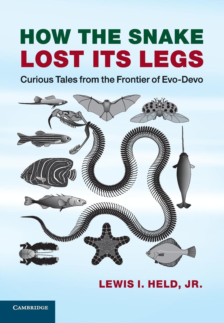 Cover: 9781107621398 | How the Snake Lost its Legs | Jr Lewis I. Held | Taschenbuch | 2015