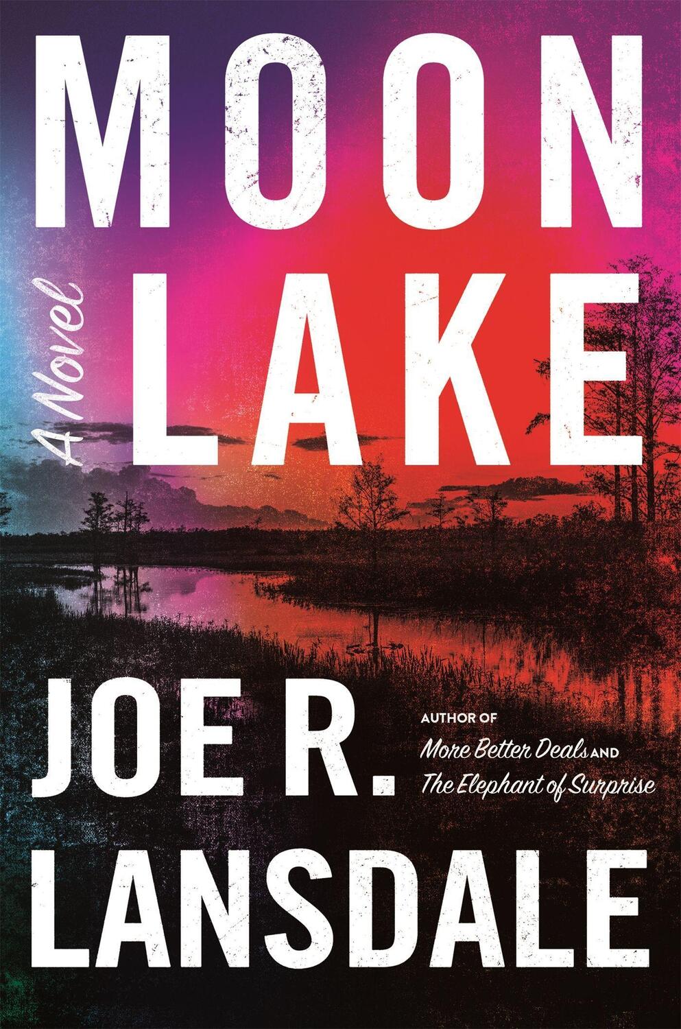 Cover: 9780316540643 | Moon Lake | Joe R. Lansdale | Buch | Englisch | 2021 | MULHOLLAND