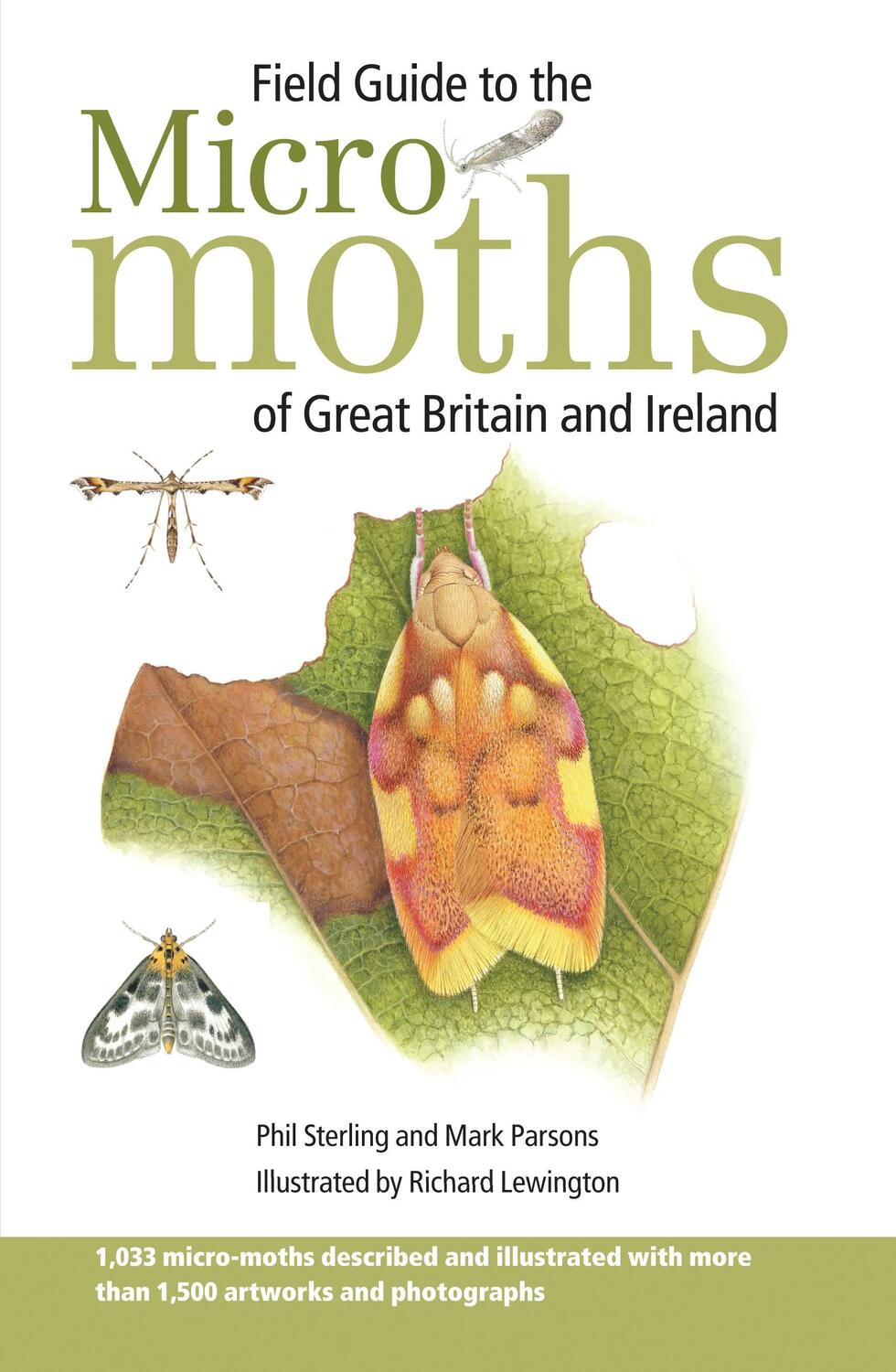Cover: 9781472964526 | Field Guide to the Micro-Moths of Great Britain and Ireland | Buch