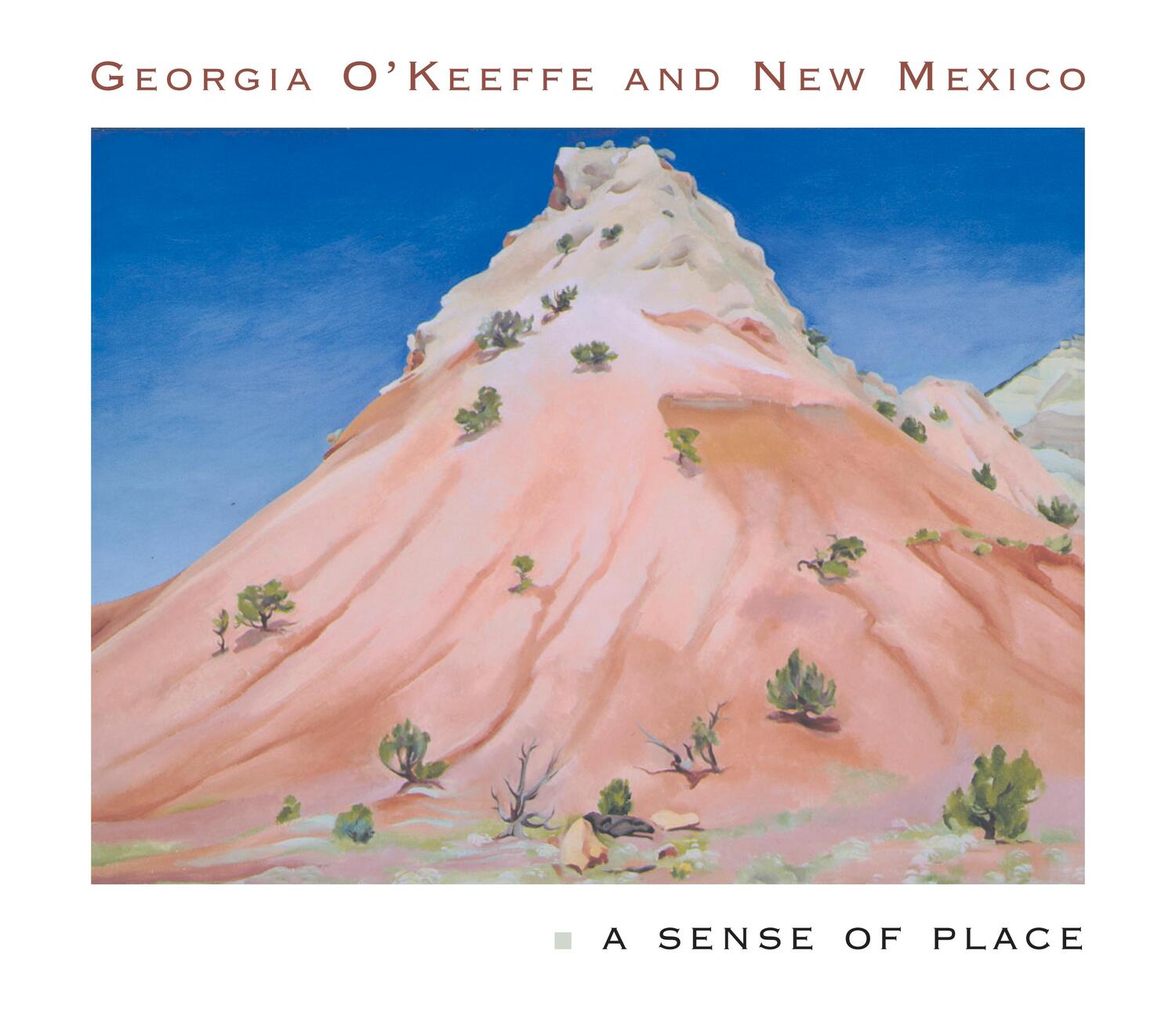 Cover: 9780691116594 | Georgia O'Keeffe and New Mexico | A Sense of Place | Lynes (u. a.)