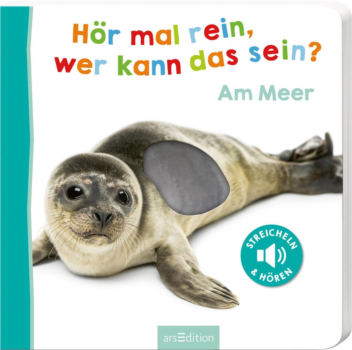 Bild: 9783845818207 | Hör mal rein, wer kann das sein? Am Meer | Buch | 12 S. | Deutsch