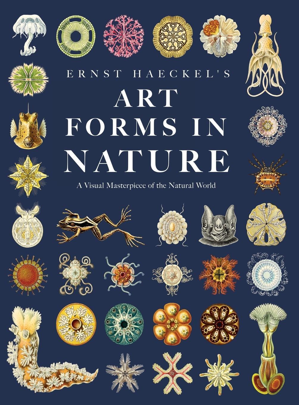 Cover: 9781528773133 | Ernst Haeckel's Art Forms in Nature | Ernst Haeckel | Buch | Englisch