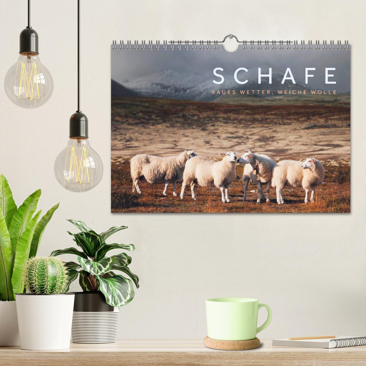 Bild: 9783435185337 | Schafe - Raues Wetter, weiche Wolle (Wandkalender 2025 DIN A4...