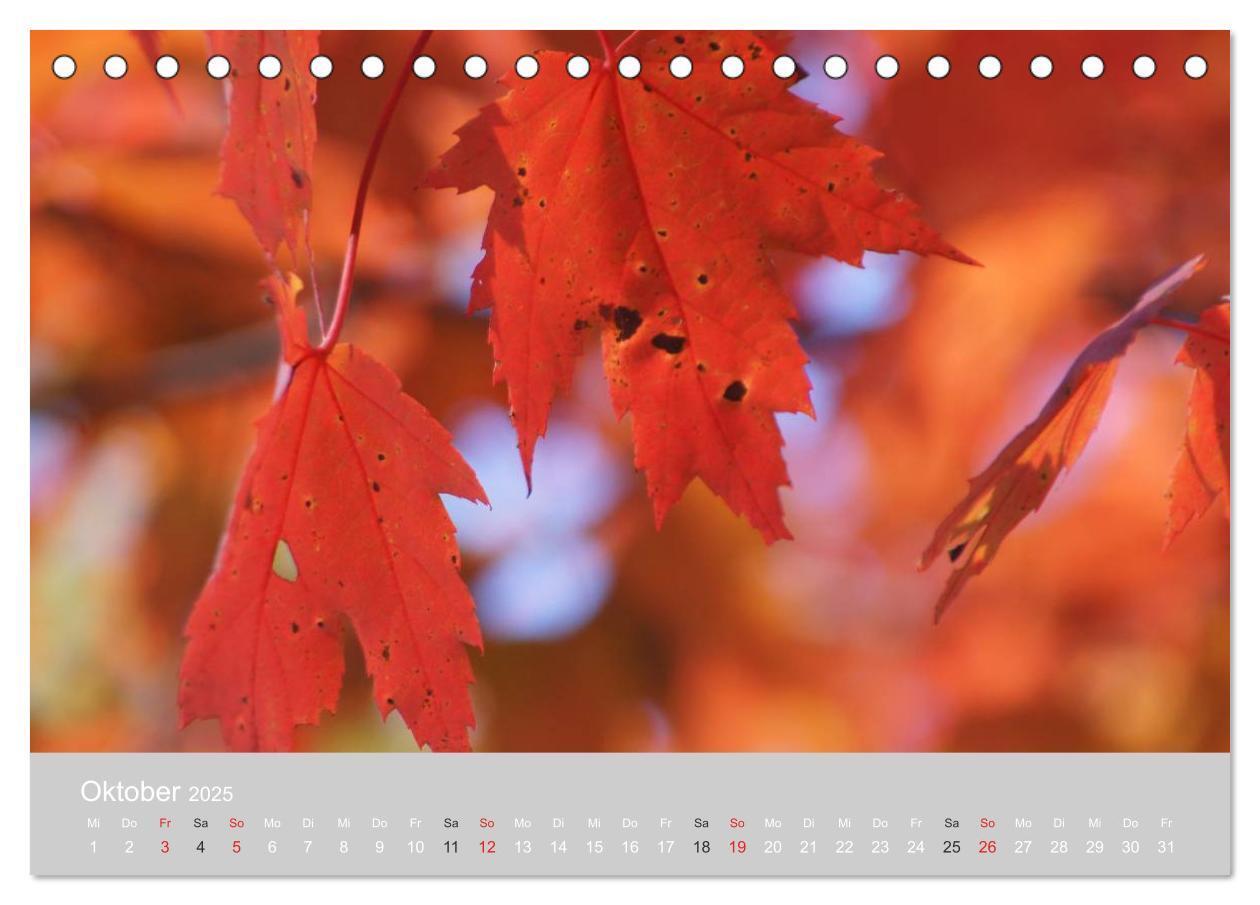 Bild: 9783435682812 | Indian Summer in New England (Tischkalender 2025 DIN A5 quer),...