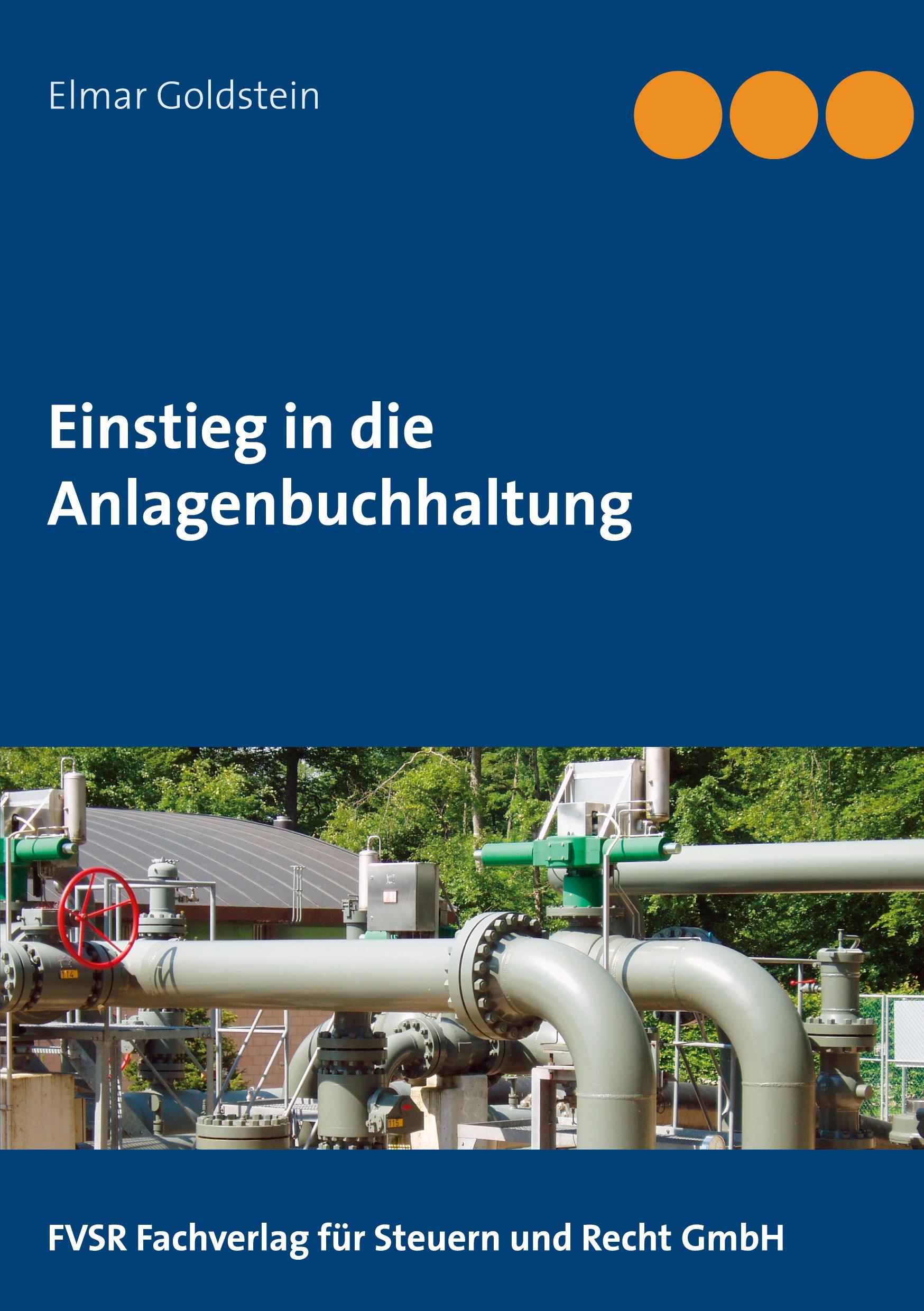 Cover: 9783941729285 | Einstieg in die Anlagenbuchhaltung | Elmar Goldstein | Taschenbuch