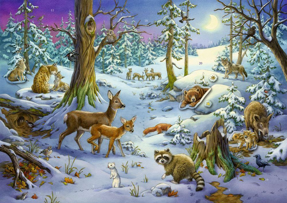 Cover: 4050003952536 | Sticker-Adventskalender - Tiere im Winterwald | Kalender | 1 S.
