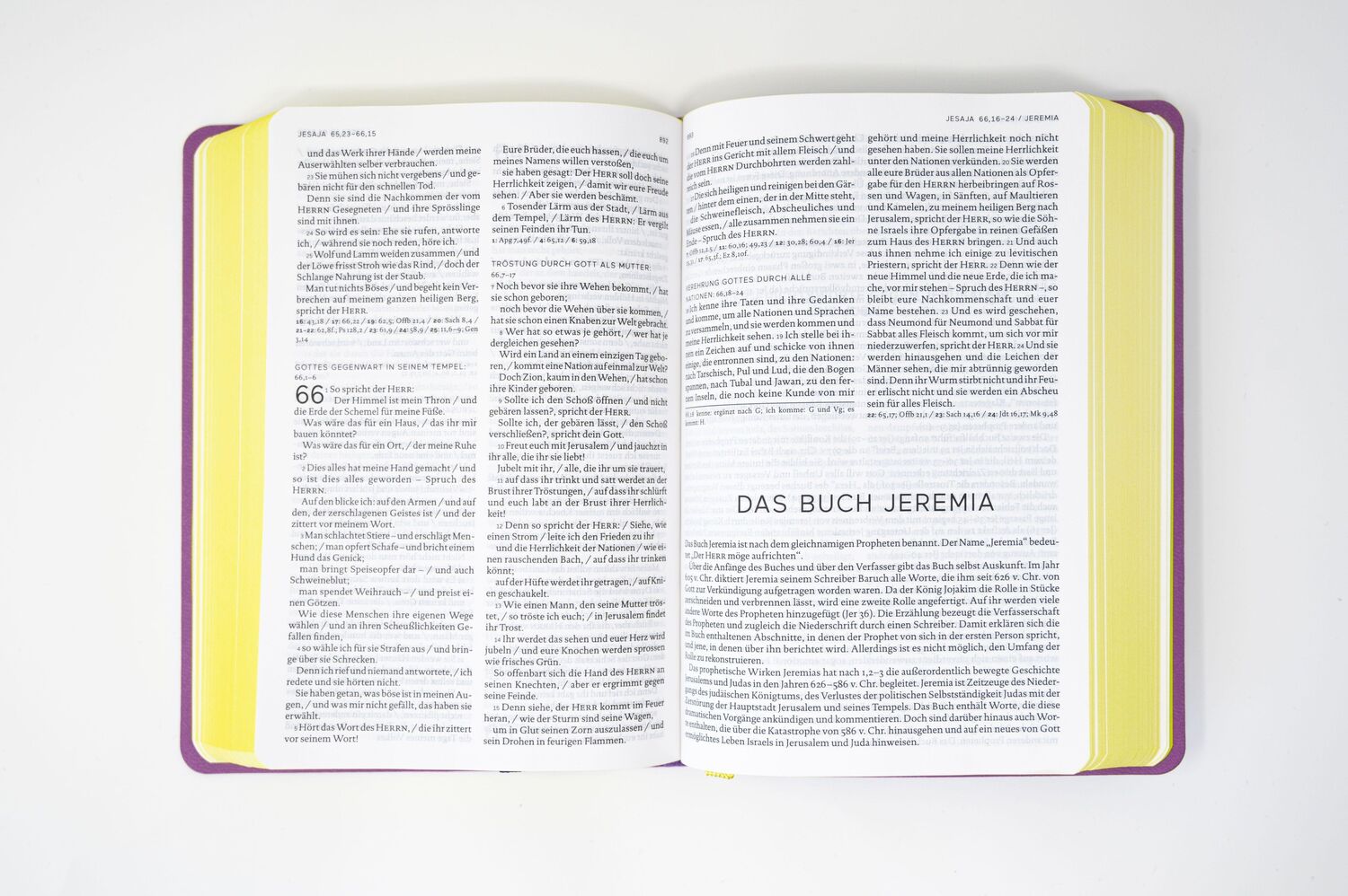 Bild: 9783460440654 | Die Bibel. Senfkorn, Handschmeichler lila | Deutschlands | Taschenbuch