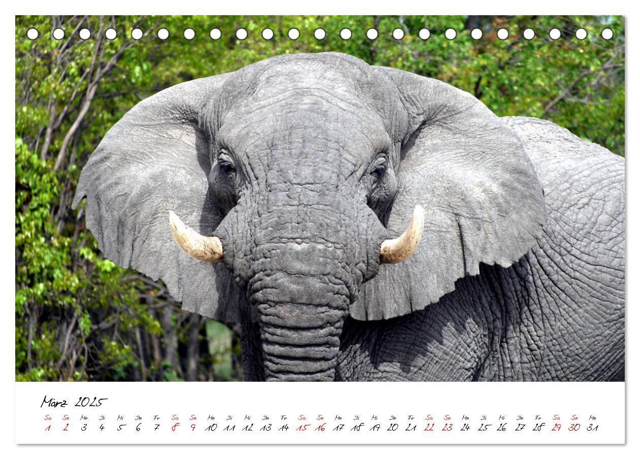 Bild: 9783435256938 | Namibia - Magie der Weite (Tischkalender 2025 DIN A5 quer),...