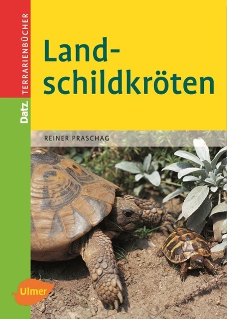 Cover: 9783800149162 | Landschildkröten | Reiner Praschag | Buch | DATZ-Terrarienbücher