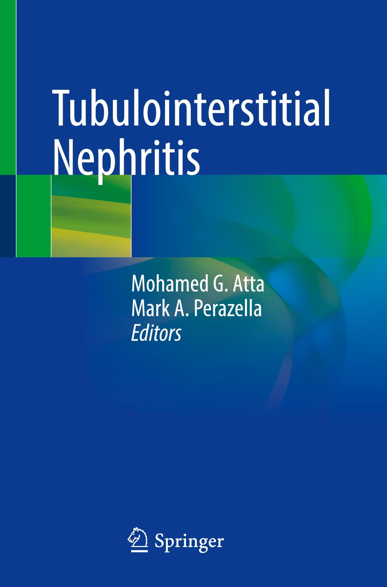 Cover: 9783030934378 | Tubulointerstitial Nephritis | Mark A. Perazella (u. a.) | Taschenbuch