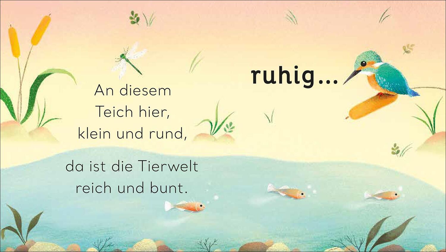 Bild: 9783458643210 | Eine kleine Welt im Teich | Will Millard | Buch | Eine kleine Welt