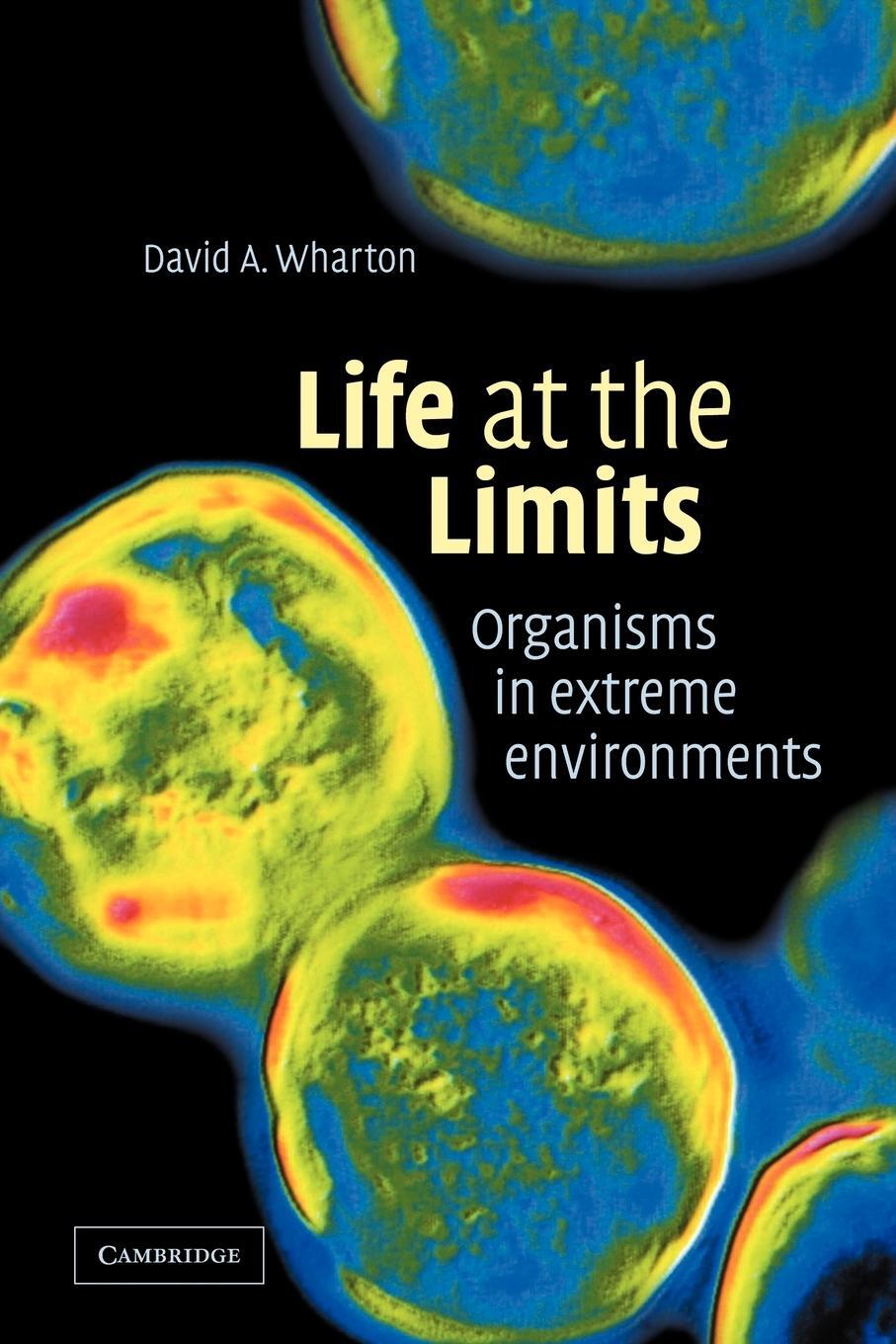 Cover: 9780521039901 | Life at the Limits | David A. Wharton | Taschenbuch | Paperback | 2007