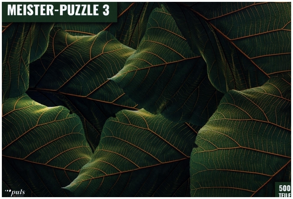 Cover: 4031288111443 | MEISTER-PUZZLE 3, Blätter (Puzzle) | Gerd Reger | Spiel | Stülpkarton