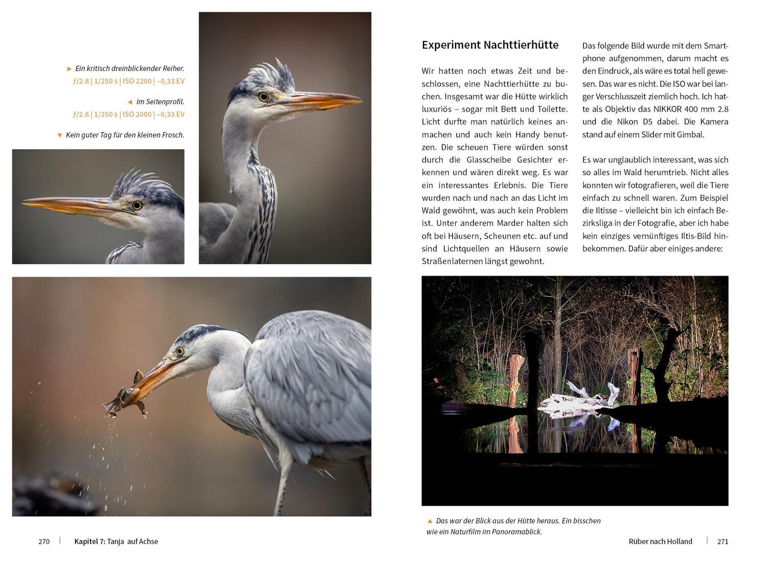 Bild: 9783832804220 | Tierische Momente fotografieren | Brandt Tanja | Buch | 328 S. | 2020