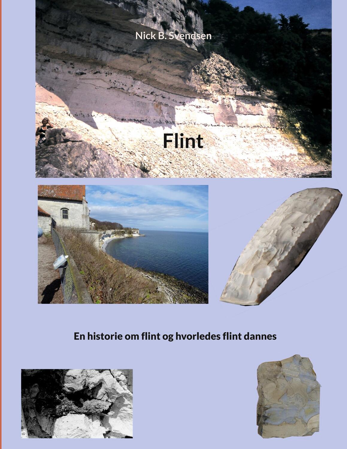 Cover: 9788743048701 | Flint | En historie om flint og hvorledes flint dannes | Svendsen