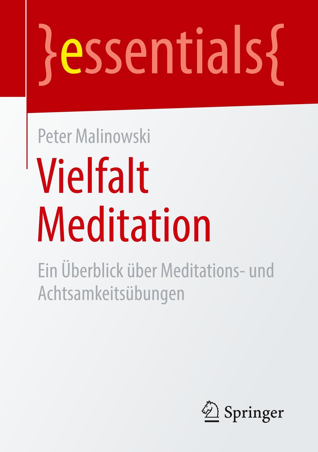 Cover: 9783658245672 | Vielfalt Meditation | Peter Malinowski | Taschenbuch | 2019 | Springer