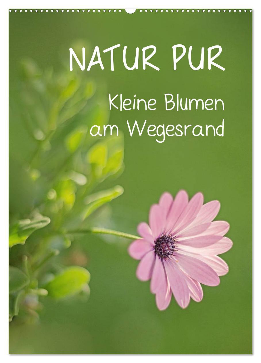 Cover: 9783457017319 | NATUR PUR Kleine Blumen am Wegesrand (Wandkalender 2025 DIN A2...