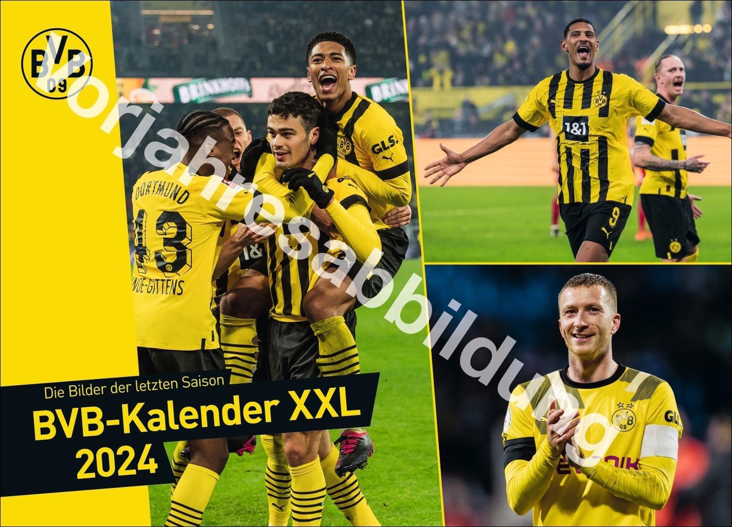 Cover: 9783756404735 | BVB Edition Kalender 2025 | Heye | Kalender | Bundesliga Kalender Heye