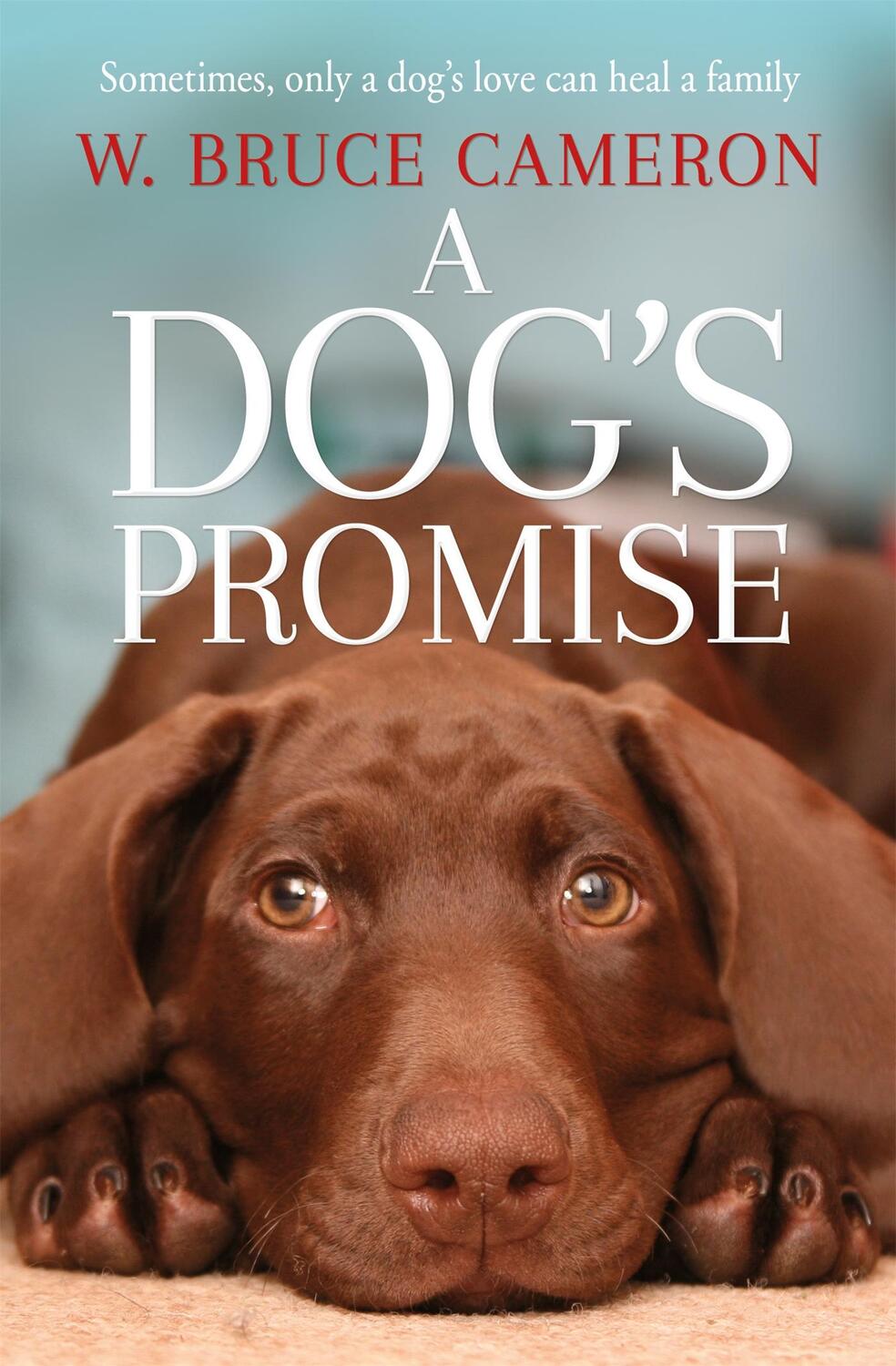 Cover: 9781529010084 | A Dog's Promise | W. Bruce Cameron | Taschenbuch | A Dog's Purpose
