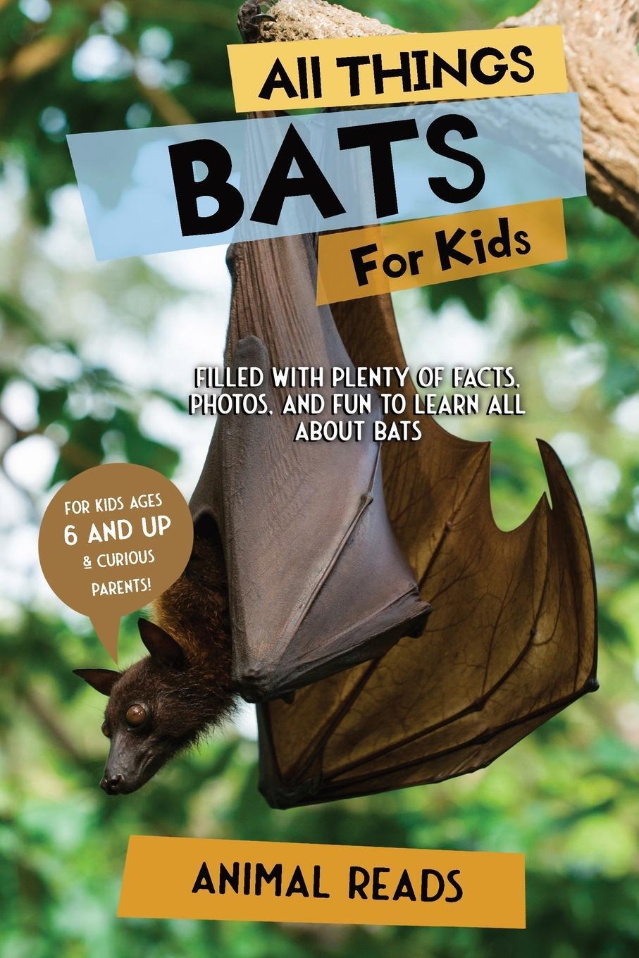 Cover: 9783967721157 | All Things Bats For Kids | Animal Reads | Taschenbuch | Paperback