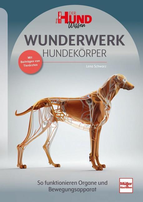 Cover: 9783275023080 | WUNDERWERK HUNDEKÖRPER | Lena Schwarz | Taschenbuch | DER HUND Wissen