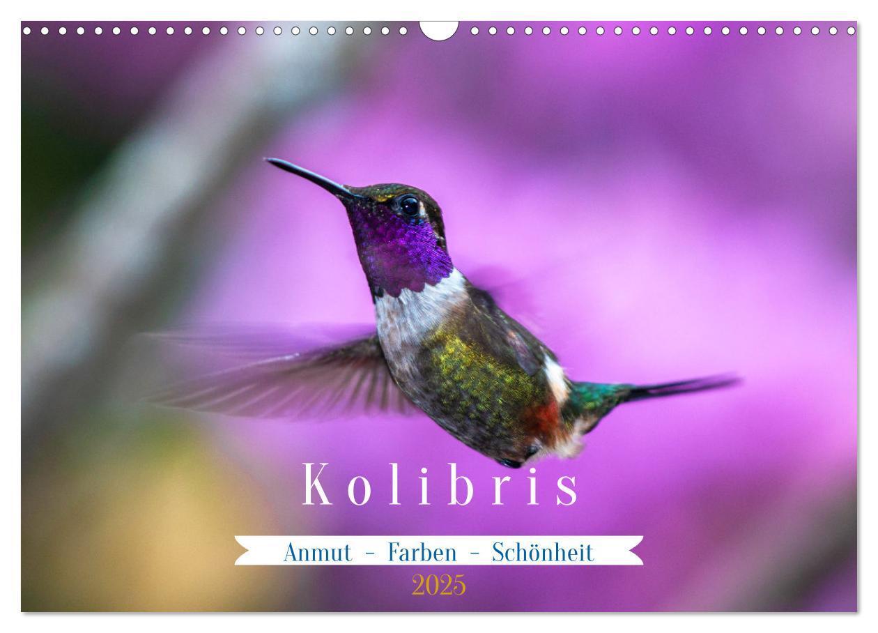 Cover: 9783435428335 | Kolibris; Anmut, Schönheit, Farben (Wandkalender 2025 DIN A3 quer),...