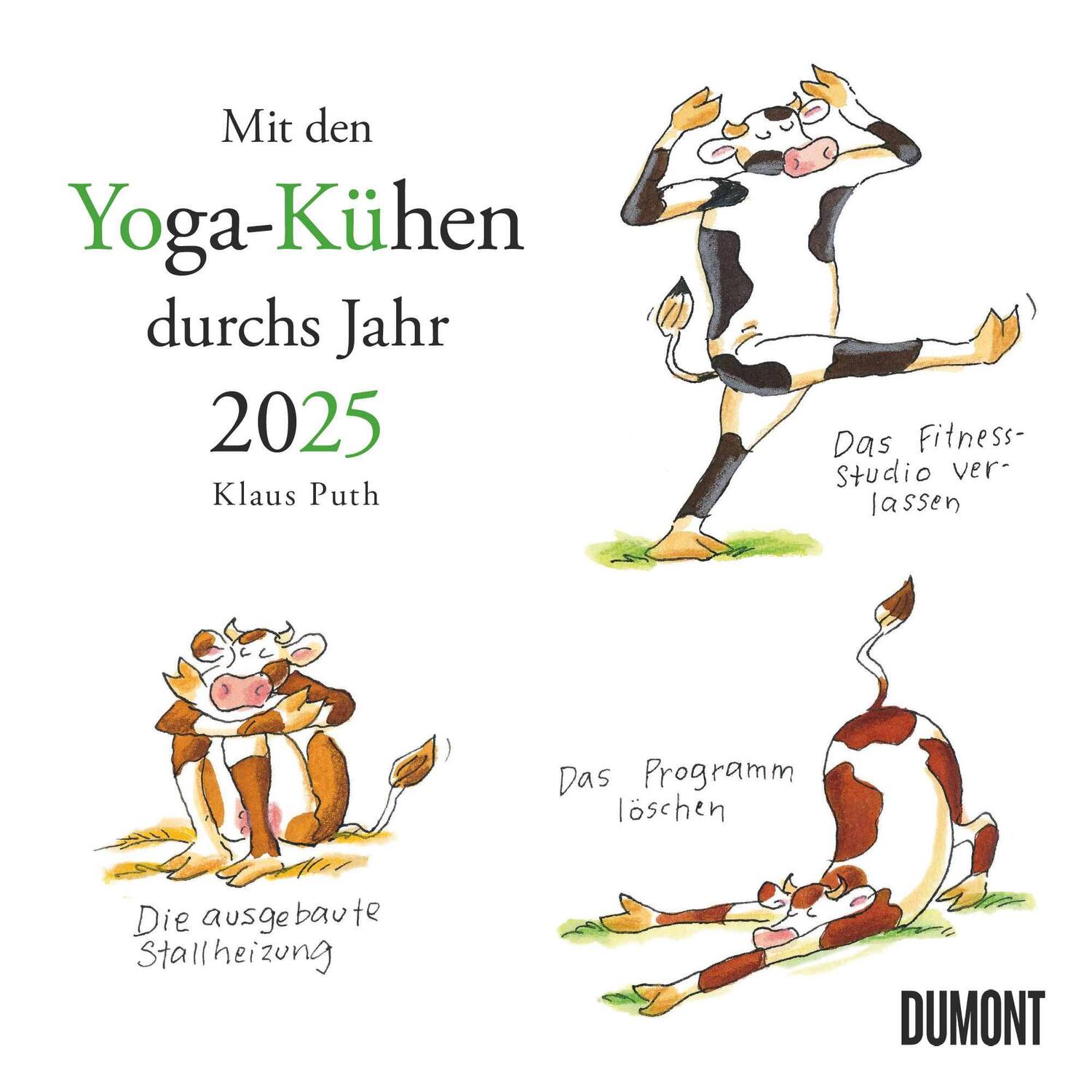 Cover: 4250809653037 | Mit den Yoga-Kühen durchs Jahr 2025 - Wandkalender - Quadratformat...