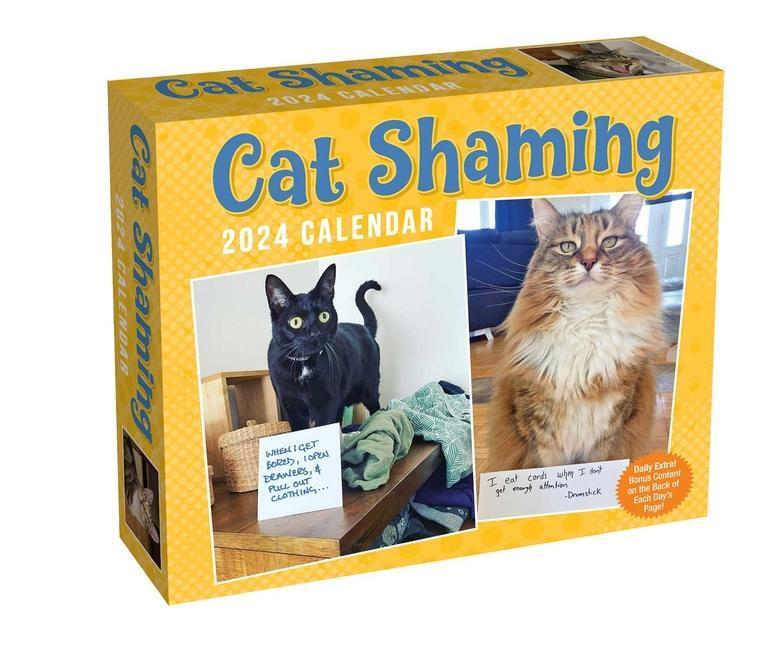 Cover: 9781524879938 | Cat Shaming 2024 Day-To-Day Calendar | Pedro Andrade | Kalender | 2024