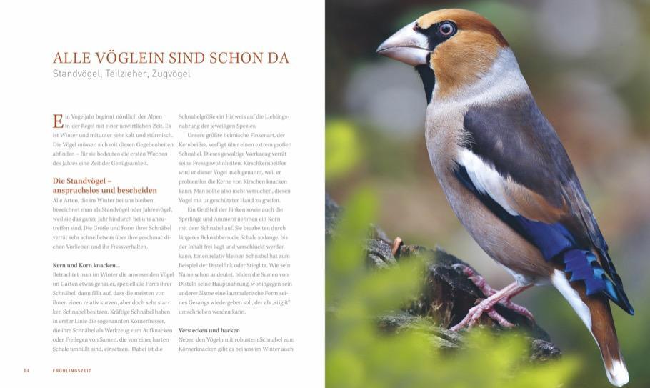 Bild: 9783954163410 | Ein Garten voller Vögel | Heinz Schmidbauer (u. a.) | Buch | Deutsch