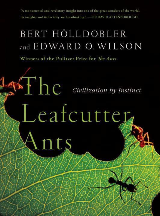Cover: 9780393338683 | The Leafcutter Ants: Civilization by Instinct | Hölldobler (u. a.)