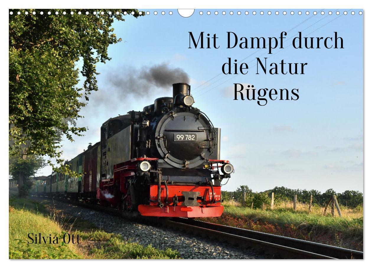 Cover: 9783675929029 | Mit Dampf durch die Natur Rügens (Wandkalender 2024 DIN A3 quer),...