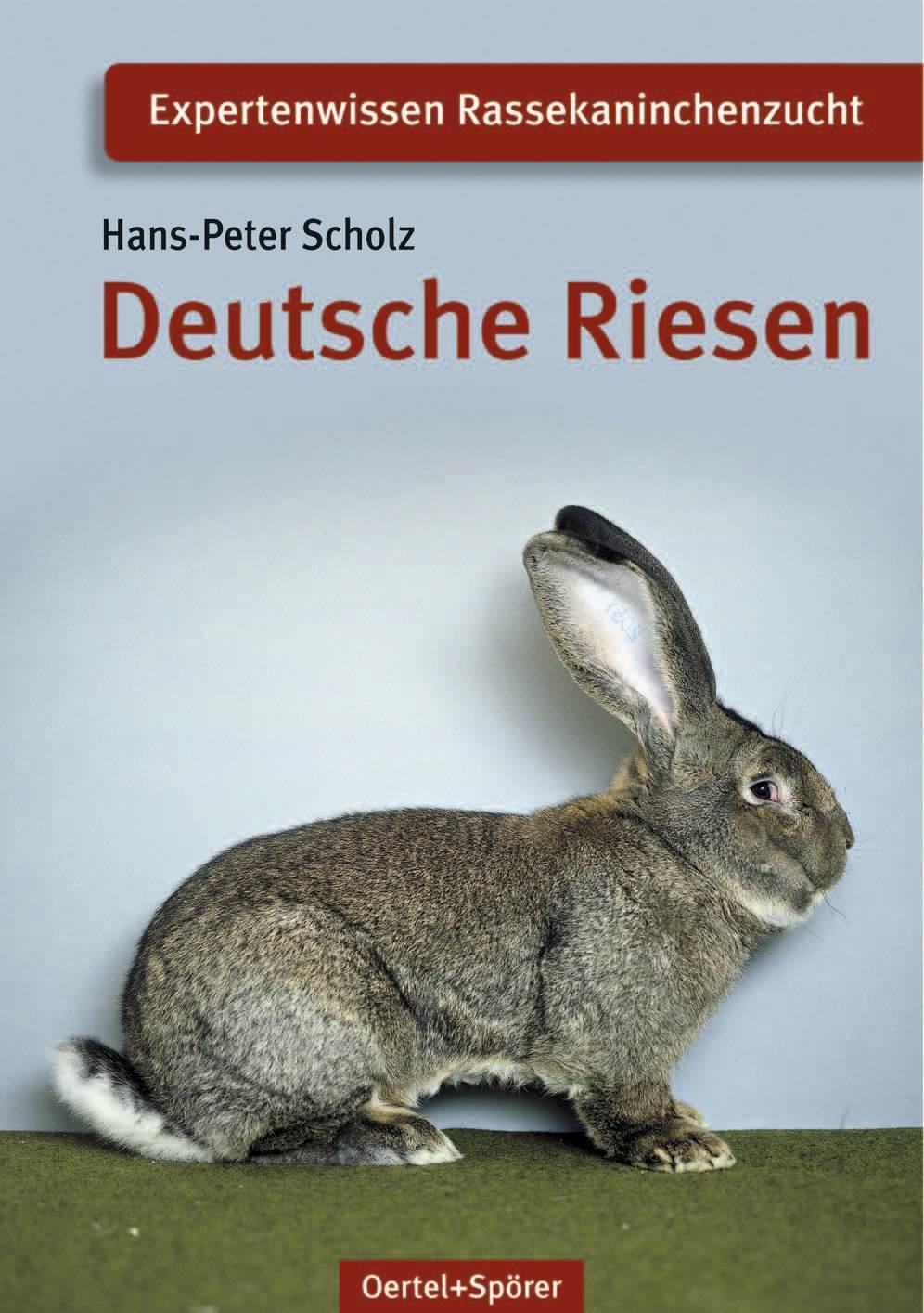 Cover: 9783886277360 | Deutsche Riesen | Hans-Peter Scholz | Broschüre | Deutsch | 2008