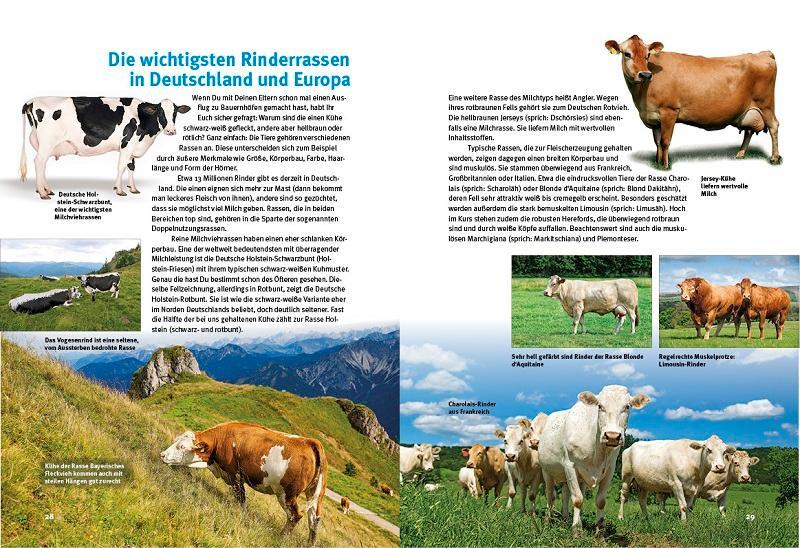 Bild: 9783866593978 | Entdecke die Kühe | Jutta Heise (u. a.) | Buch | 64 S. | Deutsch