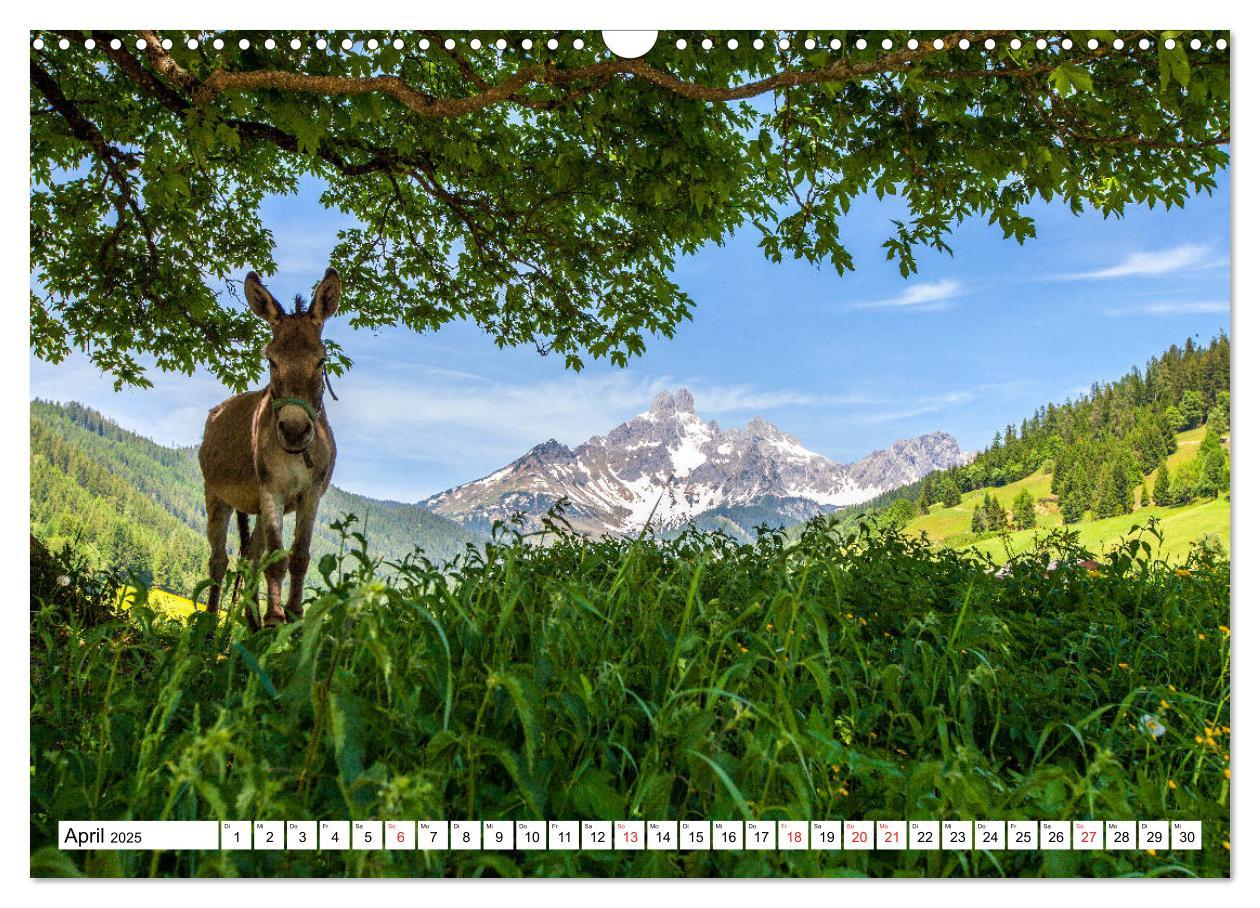 Bild: 9783435167296 | Grüße aus Filzmoos (Wandkalender 2025 DIN A3 quer), CALVENDO...