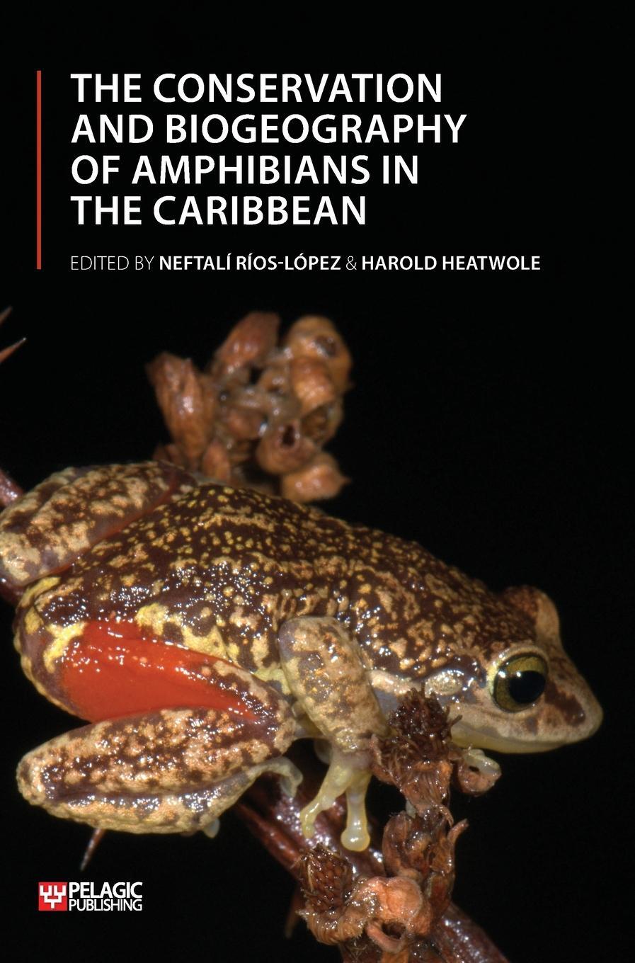 Cover: 9781784272678 | The Conservation and Biogeography of Amphibians in the Caribbean