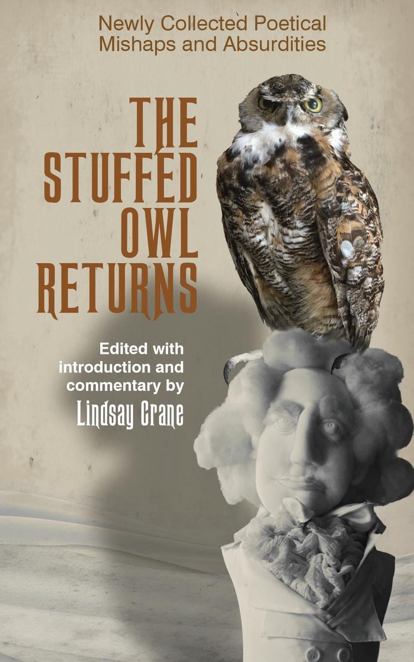 Cover: 9781736986417 | the Stuffed Owl Returns | Lindsay Crane | Taschenbuch | Paperback