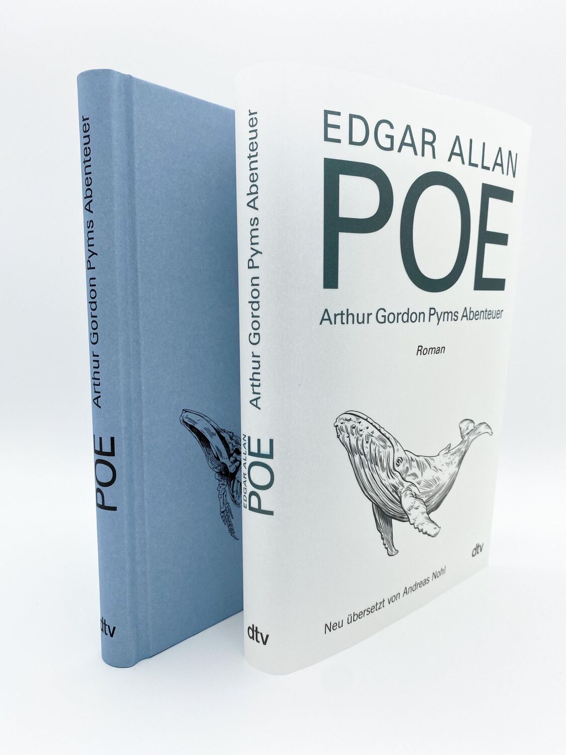 Bild: 9783423290302 | Arthur Gordon Pyms Abenteuer | Roman | Edgar Allan Poe | Buch | 256 S.