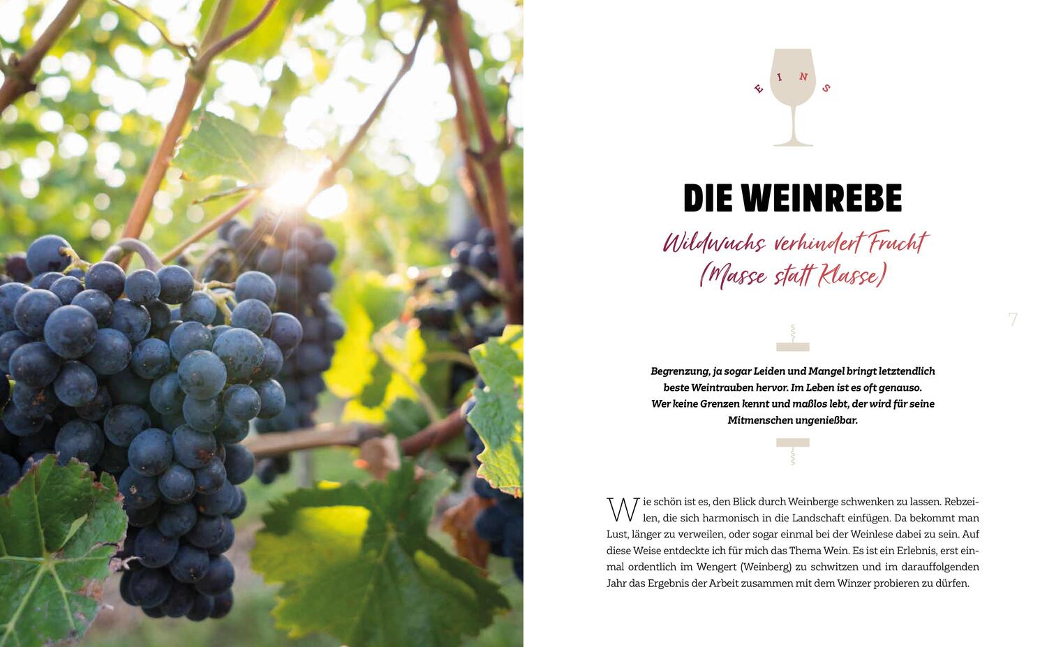 Bild: 9783775159708 | Wein | Ein Geschenk Gottes | Oliver Kircher | Buch | 208 S. | Deutsch