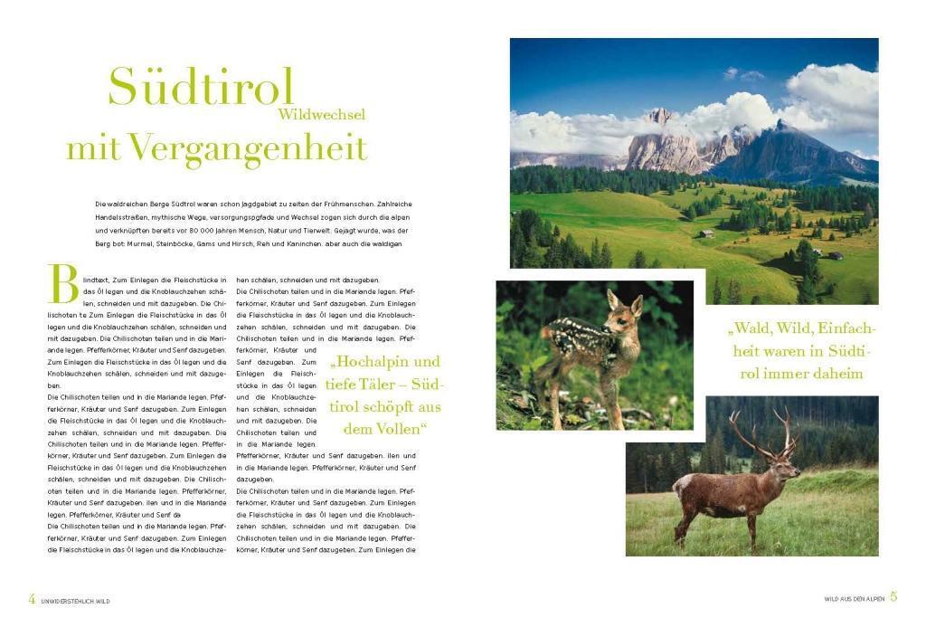 Bild: 9788868394226 | Unwiderstehlich Wild | Buch | Vorlagebögen | Deutsch | 2019