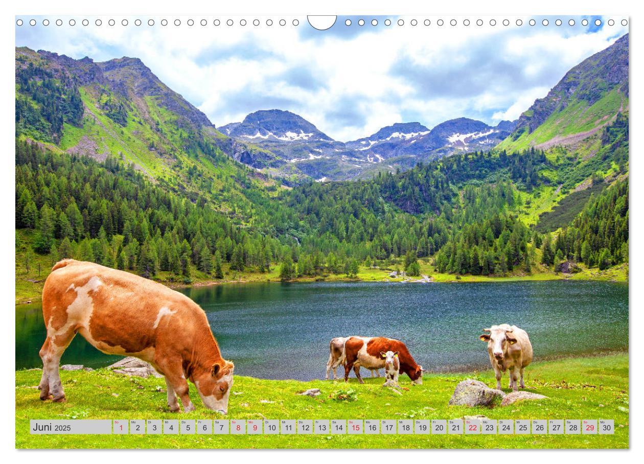 Bild: 9783435143672 | Der Duisitzkarsee (Wandkalender 2025 DIN A3 quer), CALVENDO...