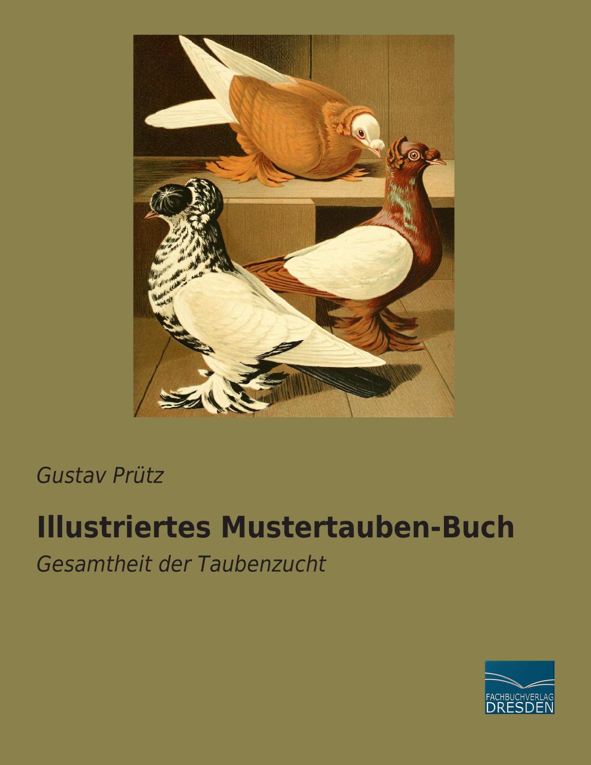 Cover: 9783956920059 | Illustriertes Mustertauben-Buch | Gesamtheit der Taubenzucht | Prütz