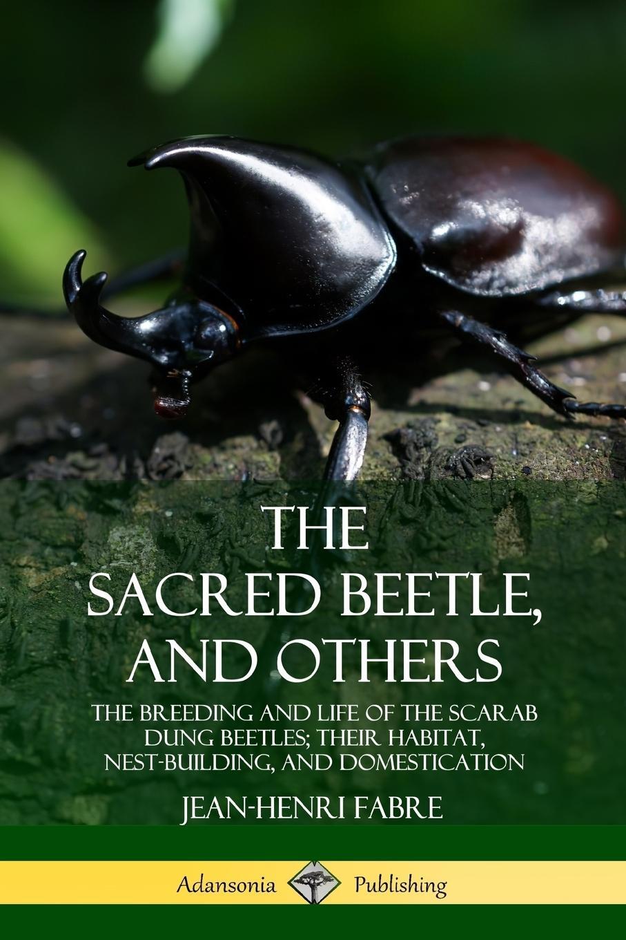 Cover: 9780359747696 | The Sacred Beetle, and Others | Jean-Henri Fabre | Taschenbuch | 2019