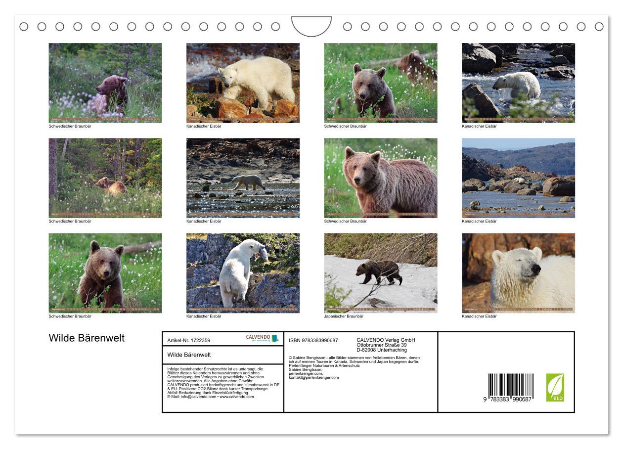 Bild: 9783383990687 | Wilde Bärenwelt (Wandkalender 2025 DIN A4 quer), CALVENDO...