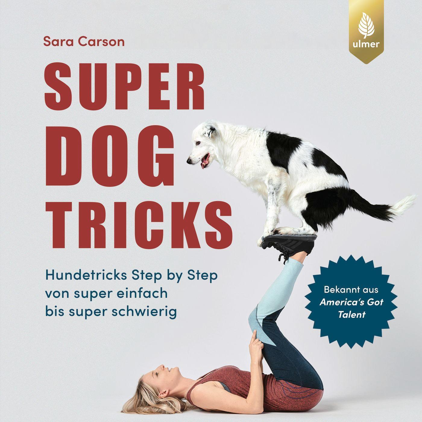 Cover: 9783818617615 | Super Dog Tricks | Sara Carson | Taschenbuch | Deutsch | 2023