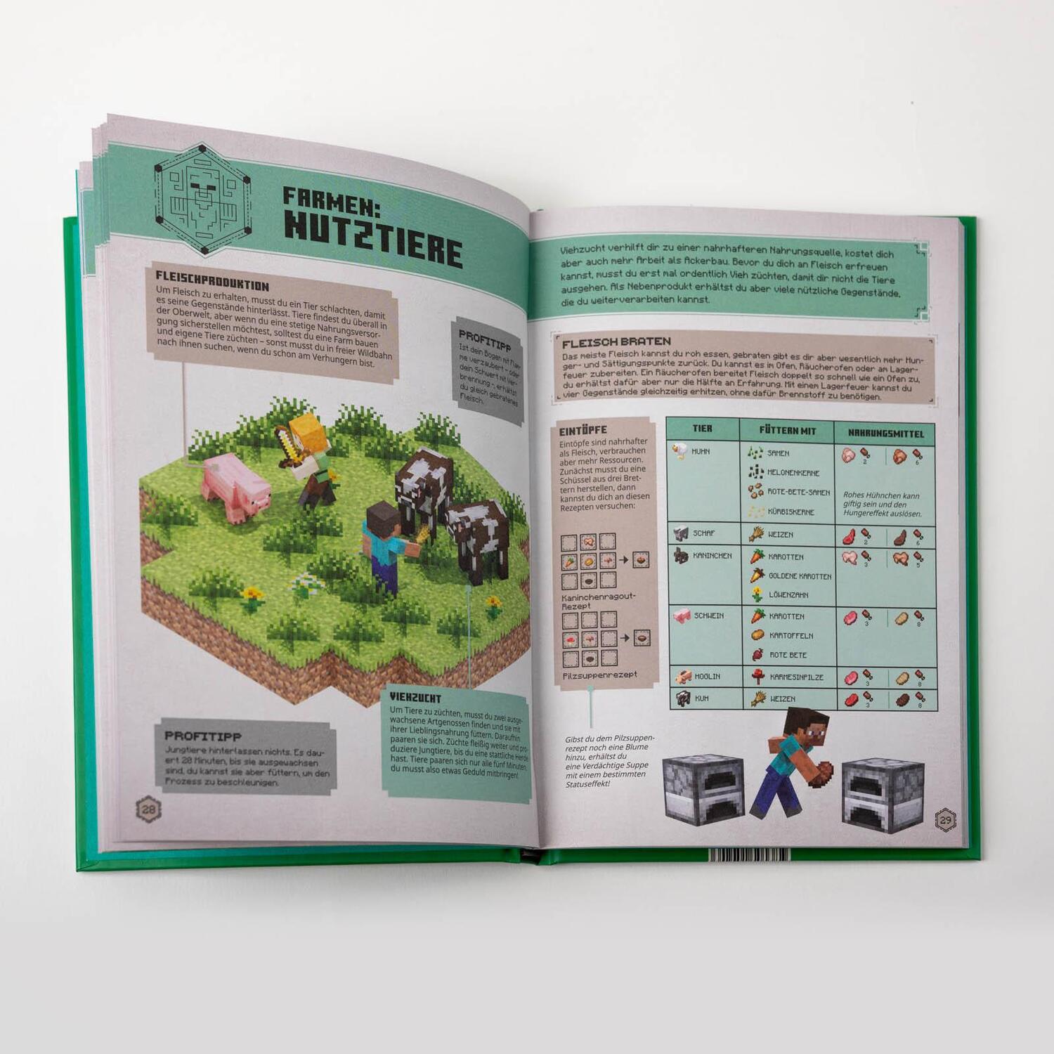 Bild: 9783505150203 | Minecraft Das Survival-Handbuch | Ein offizielles Minecraft-Handbuch
